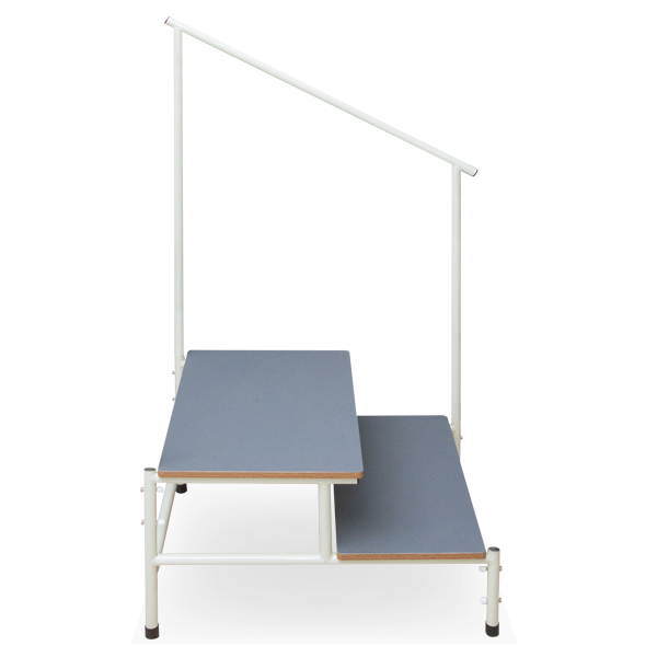 Task Medical Double Step Stool With Handle Rail