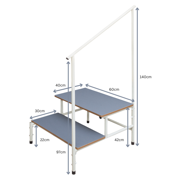 Task Medical Double Step Stool With Handle Rail